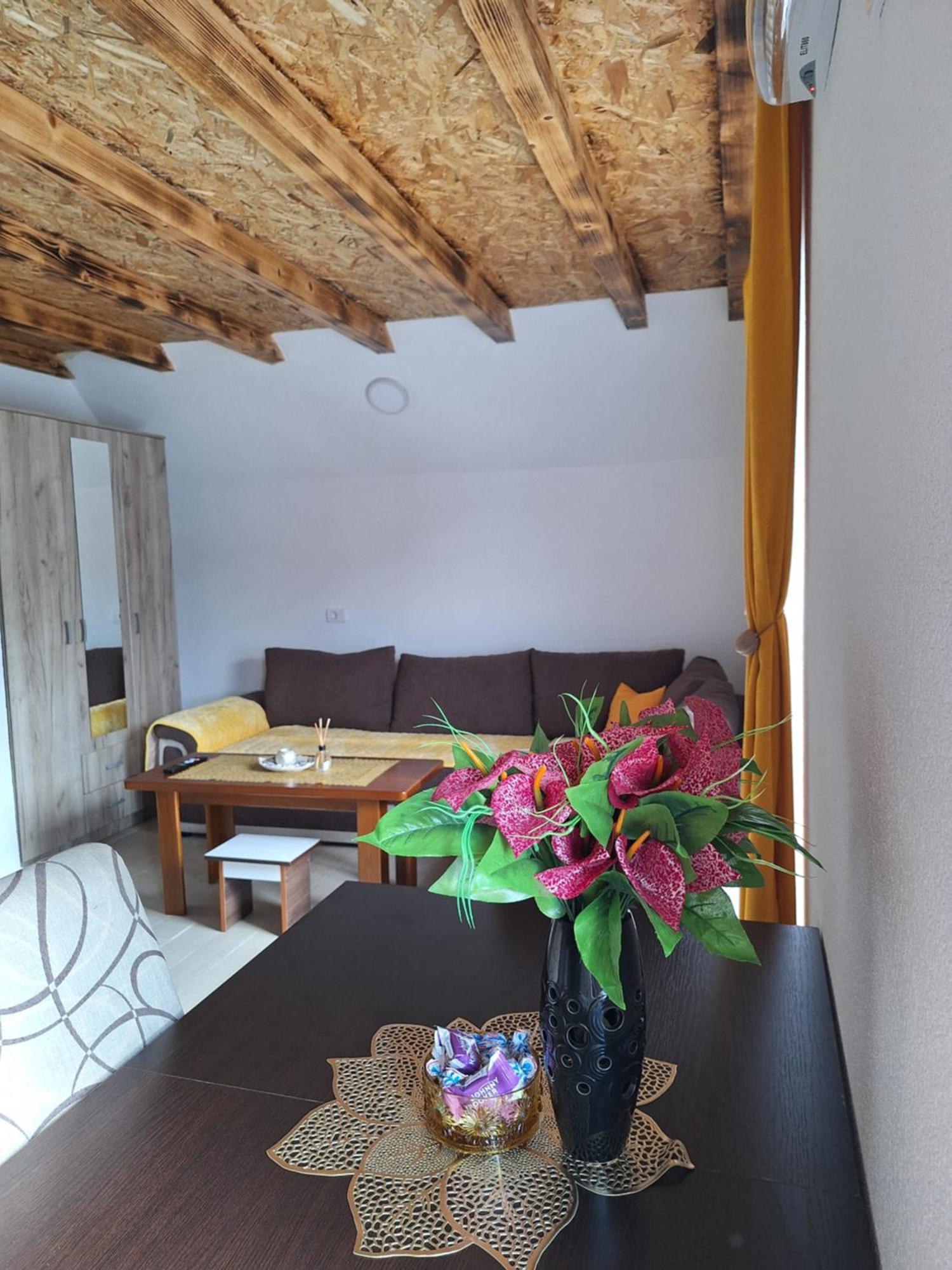 Apartmani Lena Plužine Zewnętrze zdjęcie